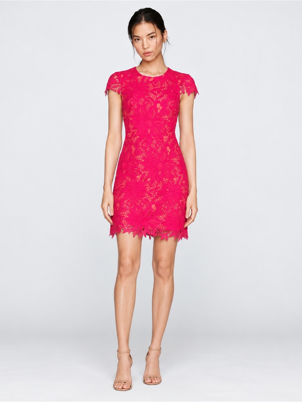 NWT Vince Camuto Lace Round Neck Cap Sleeve Fit and Flare Dress Sz 14
